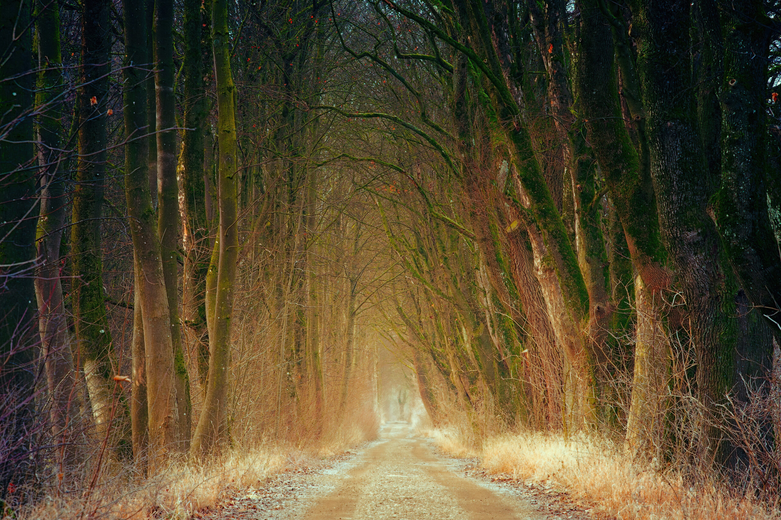 The Heartbreak of Estrangement: Learning to Love from a Distance